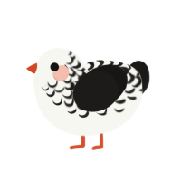 (unnamed), a white and sable chicken with a half-lace pattern