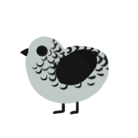 (unnamed), a silver and black chicken with a half-lace pattern