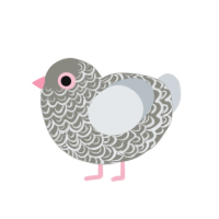 (unnamed), a ash and mist chicken with a double-lace pattern