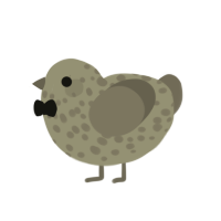 (unnamed), a grey and white chicken with a speckle pattern