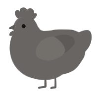 Grey, a grey chicken