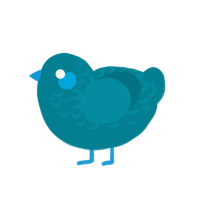 xxy sea, a sea chicken with a half-lace pattern