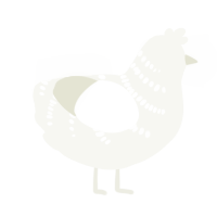 Ghost, a white chicken with a half-bar pattern