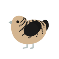 Cappuccino, a beige and sable chicken with a half-bar pattern