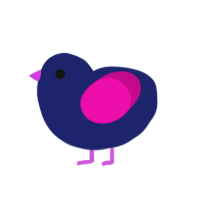 bisexual chicken, a navy and fuchsia chicken