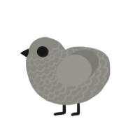 (unnamed), a ash chicken with a lace pattern