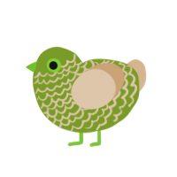Albin, a chartreuse and beige chicken with a lace pattern