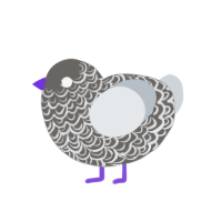 (unnamed), a grey and mist chicken with a double-lace pattern
