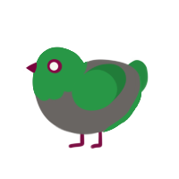 Rotten, a grey and viridian chicken with a head pattern