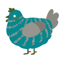 A teal and ash chicken with a bar pattern