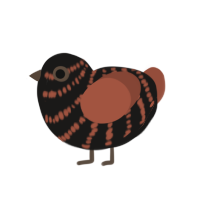 (unnamed), a sable and russet chicken with a bar pattern