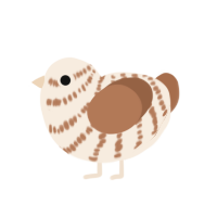 Cocoa cookie, a cream and brown chicken with a bar pattern