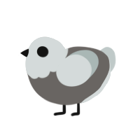 bug eyes, a grey and silver chicken with a head pattern