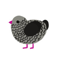 (unnamed), a ash and sable chicken with a lace pattern