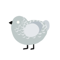 (unnamed), a silver and mist chicken with a half-lace pattern