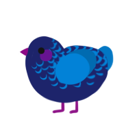 day, a navy and sapphire chicken with a half-lace pattern