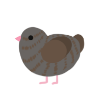 (unnamed), a grey and bark chicken with a bar pattern
