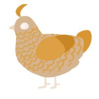 (unnamed), a beige and orange chicken with a lace pattern