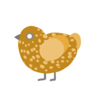 platano, a ochre and honey chicken with a speckle pattern