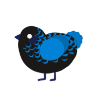 (unnamed), a sable and sapphire chicken with a half-lace pattern