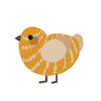 Almond, a orange and beige chicken with a bar pattern