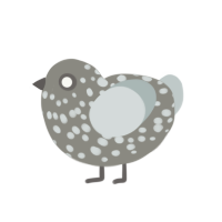 (unnamed), a ash and silver chicken with a speckle pattern