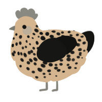 Choco Chip, a beige and black chicken with a speckle pattern