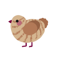 Pie, a beige and brown chicken with a bar pattern
