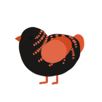 CHOMPER, a sable and vermilion chicken with a half-bar pattern
