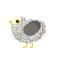 (unnamed), a white and grey chicken with a double-lace pattern