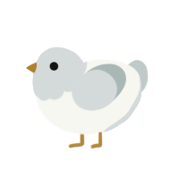 Xue Xue, a white and silver chicken with a head pattern