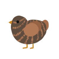 (unnamed), a bark and brown chicken with a bar pattern