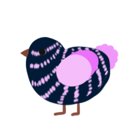 (unnamed), a tumblr and lavender chicken with a bar pattern