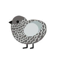 (unnamed), a grey and silver chicken with a lace pattern