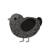 Smog, a grey and sable chicken with a double-lace pattern