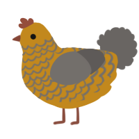 (unnamed), a ochre and grey chicken with a lace pattern