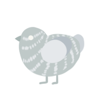 Sigh, a silver chicken with a bar pattern
