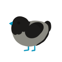 (unnamed), a ash and sable chicken with a head pattern