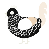 Freak, a black and cream chicken with a lace pattern