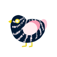 Pleia, a tumblr and rose chicken with a bar pattern