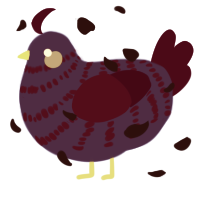 A indigo and maroon chicken with a bar pattern