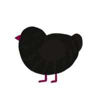 (unnamed), a black and sable chicken with a bar pattern