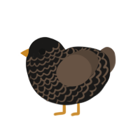 (unnamed), a sable and bark chicken with a lace pattern