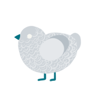 (unnamed), a mist chicken with a double-lace pattern