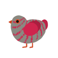 Chiave, a ash and crimson chicken with a bar pattern