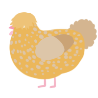 wiwi G, a honey and beige chicken with a speckle pattern