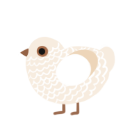 Bongo, a cream chicken with a lace pattern