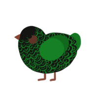 (unnamed), a black and leaf chicken with a double-lace pattern