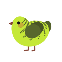 (unnamed), a lime and olive chicken with a half-bar pattern