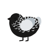 insert cool name, a sable and mist chicken with a half-lace pattern